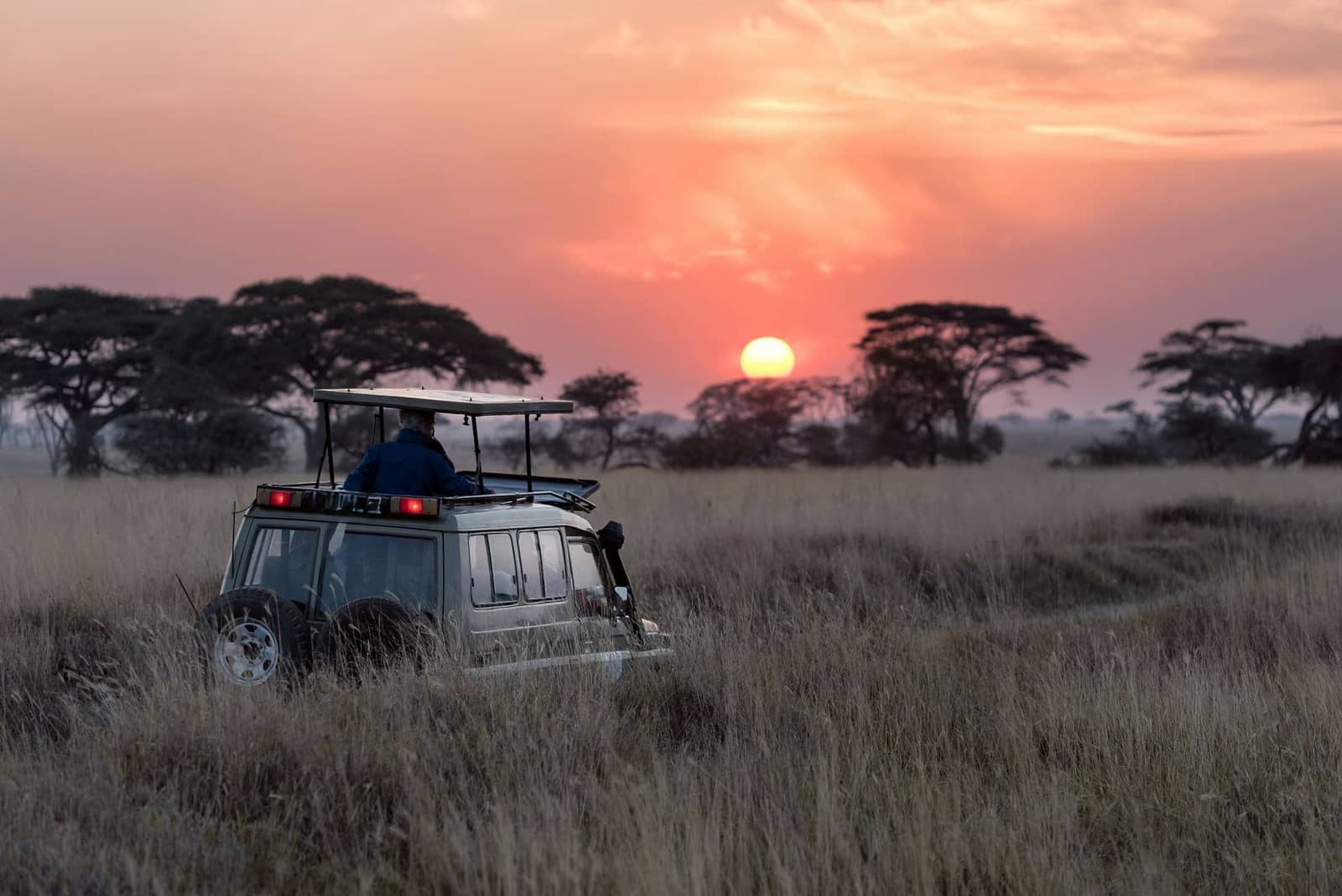 4-Day Tanzania Safari