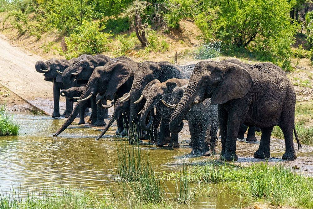 2-Day Tanzania Safari