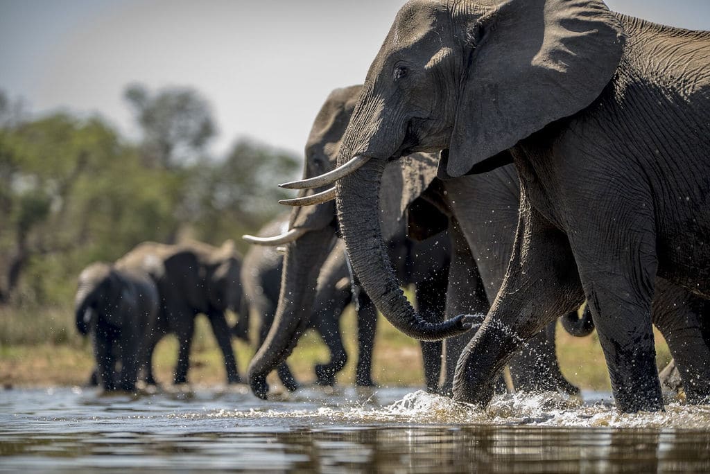 Lake Manyara