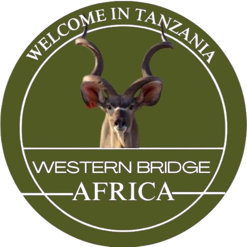 Western Bridge Africa