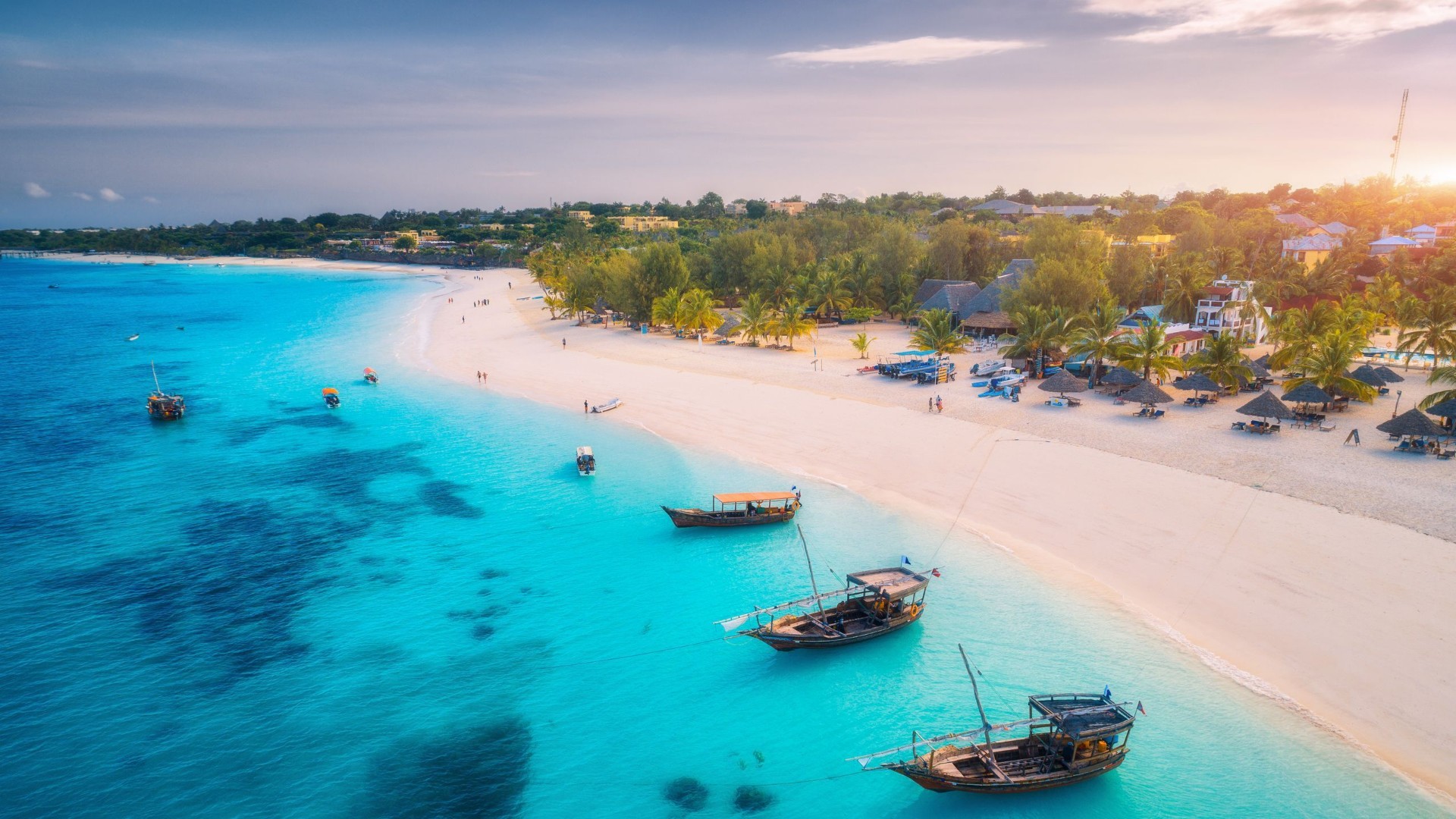 Emerald Isle Quest: 6 Days Pemba Island Exploration